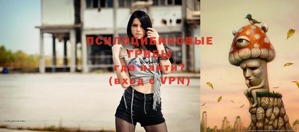 бошки Белокуриха