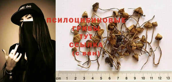 спиды Белоозёрский