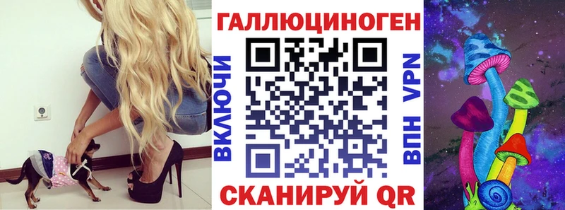 наркошоп  Шатура  Псилоцибиновые грибы Psilocybine cubensis 